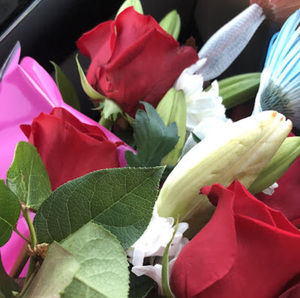 Meet your Posher, Viri